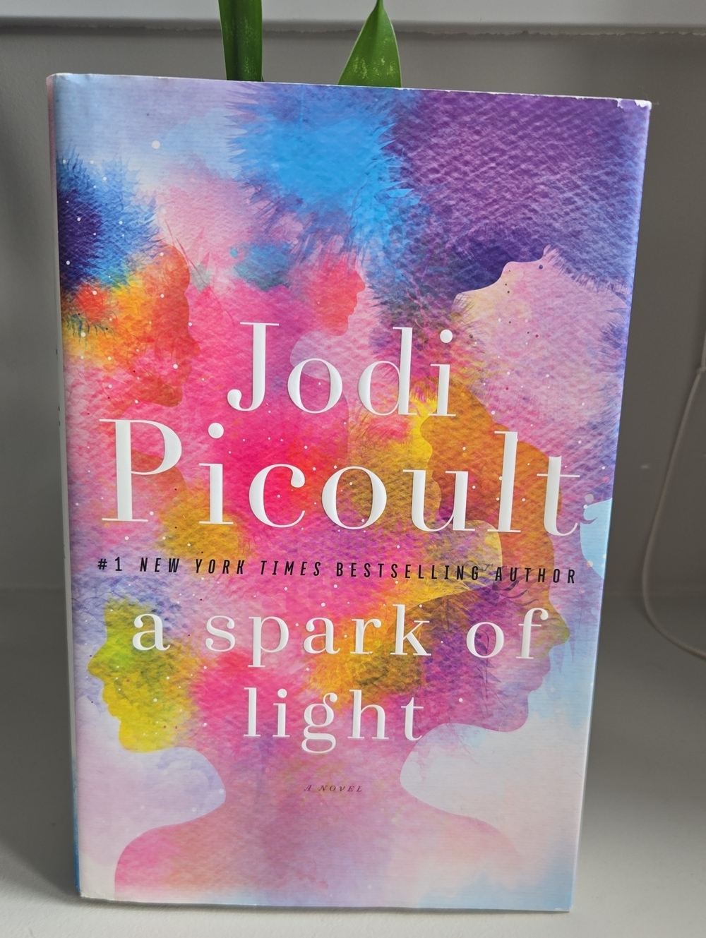 Jodi Picoult — A Spark of Light